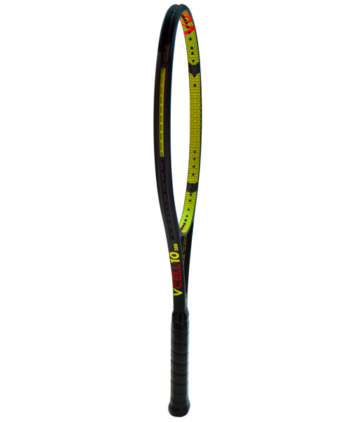 V-CELL 10 320G